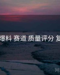 91爆料 赛道 质量评分 复盘