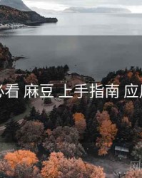 避坑必看 麻豆 上手指南 应用案例