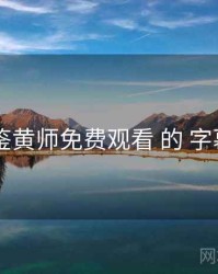 对比 鉴黄师免费观看 的 字幕方案