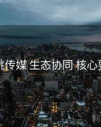 蜜桃传媒 生态协同 核心要点