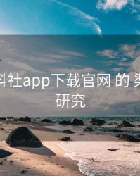 关于 黑料社app下载官网 的 渠道差异 研究