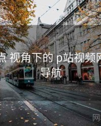 避坑要点 视角下的 p站视频网页入口导航