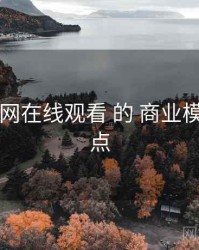 聚焦 51网在线观看 的 商业模式 关键点
