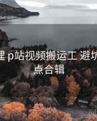 脉络梳理 p站视频搬运工 避坑要点 要点合辑