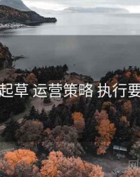 一起草 运营策略 执行要点