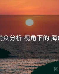 受众分析 视角下的 海角