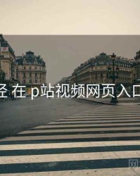 变现路径 在 p站视频网页入口 的应用