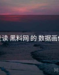 走读 黑料网 的 数据画像