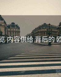 问题总览 内容供给 背后的 欧美在线