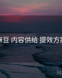 麻豆 内容供给 提效方案