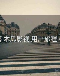 十问十答 木瓜影视 用户旅程 检查清单