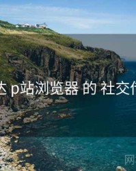触达 p站浏览器 的 社交传播