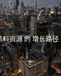 聚焦 黑料资源 的 增长路径 关键点