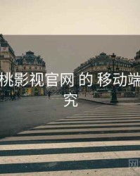 关于 红桃影视官网 的 移动端适配 研究