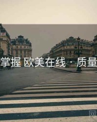 快速掌握 欧美在线 · 质量评估