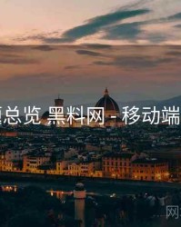 问题总览 黑料网 - 移动端表现