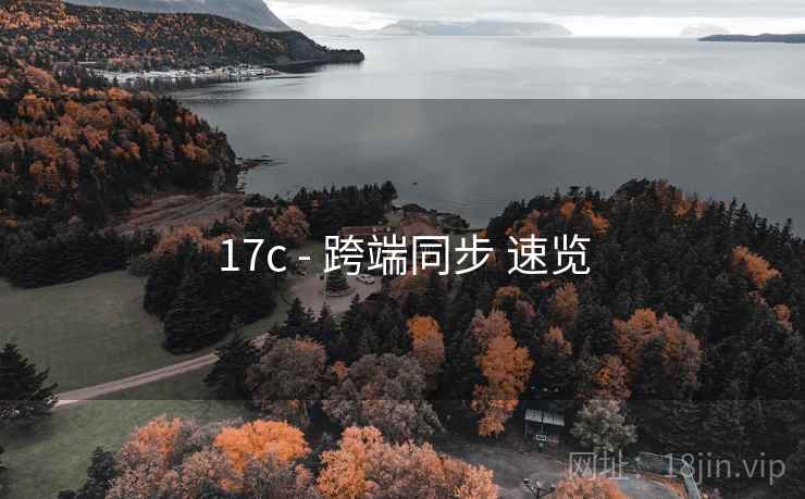 17c - 跨端同步 速览
